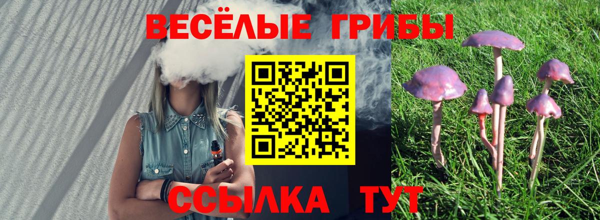 Среднеуральск  Галлюциногенные грибы прущие грибы  Вход с VPN 